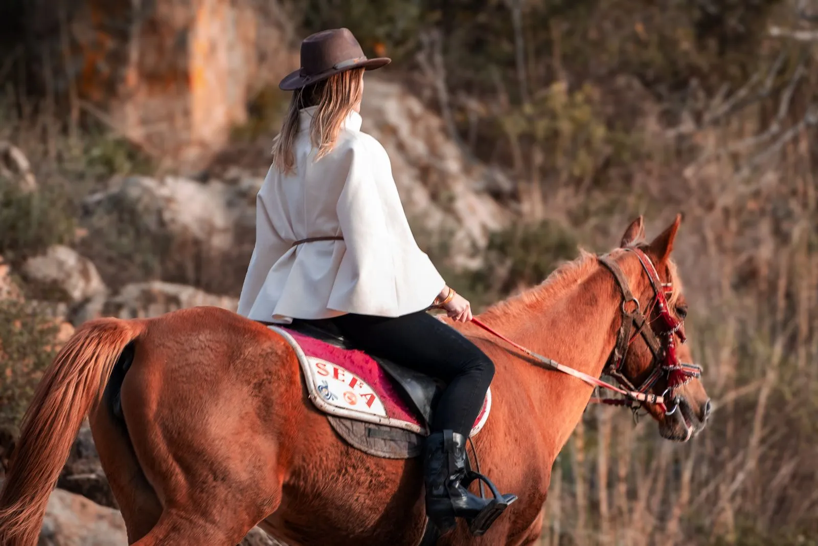 A woman on horseback enjoying a ride through a scenic autumn landscape.